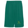 Youth Training Shorts Thumbnail