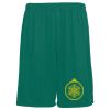 Youth Training Shorts Thumbnail