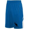 Youth Alley-Oop Reversible Shorts Thumbnail