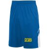 Youth Alley-Oop Reversible Shorts Thumbnail