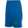 Youth Alley-Oop Reversible Shorts Thumbnail