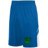Youth Alley-Oop Reversible Shorts Thumbnail