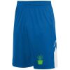 Youth Alley-Oop Reversible Shorts Thumbnail