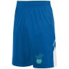 Youth Alley-Oop Reversible Shorts Thumbnail