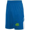 Youth Alley-Oop Reversible Shorts Thumbnail